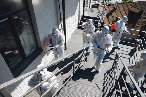 Environmental Consulting for Mold Prevention in Lutz, FL