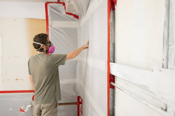 Best Forensic Mold Investigation  in Lutz, FL