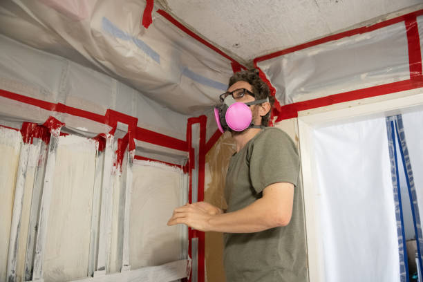 Best Biohazard Mold Removal  in Lutz, FL