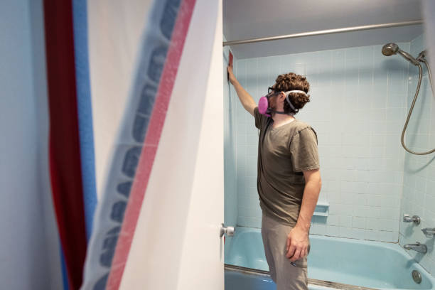 Best Environmental Consulting for Mold Prevention  in Lutz, FL
